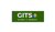 Global IT Sources-logo