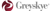 Greyskye Marketing Consultants LLC-logo