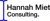 Hannah Miet Consulting LLC-logo