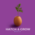 Hatch & Grow Media-logo
