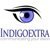 Indigoextra Ltd-logo