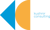 Kushnir Consulting-logo