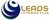 Leads Interactive-logo