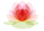 Lily Pad PR Agency Profile Image