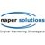 Naper Solutions, Inc.-logo