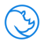 Blue Rhino Media-logo