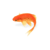 Addison Agency Profile Image