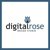 Digital Rose Design Studio-logo