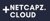 Netcapz-logo