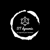 ST Dynamic Digital marketing and web design-logo