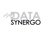 Data Synergo Sdn Bhd-logo