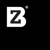 BZ Marketing-logo