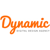 Dynamic Net Solutions-logo
