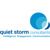 Quiet Storm Consultants-logo