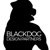 BlackDog Design Partners Agency Profile Image