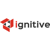 Ignitive Web Design Agency Profile Image