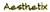 Aesthetix-logo