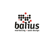 Balius Marketing & Web Design-logo