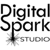Digital Spark Studio-logo