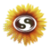 Subtle Network Design & Marketing-logo