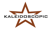 Kaleidoscopic, Inc.-logo