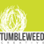 TUMBLEWEED CREATIVE-logo