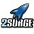 2Surge Marketing Agency Profile Image