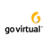 GoVirtualMx Agency Profile Image