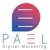 Pael Digital Marketing Agency-logo