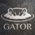 Gator Marketing Agency Profile Image