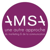 Amsa-logo