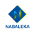 Nabaleka Digital Solutions-logo