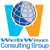 Webwise Consulting Group-logo