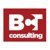 BCT Consulting, Inc. Agency Profile Image