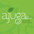 Ajuga, Inc. Agency Profile Image