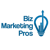 Biz Marketing Pros-logo