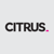 Citrus Advertising-logo