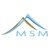 MSM Managing Solutions-logo