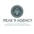 Peak 9 Agency-logo