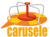 Carusele Agency Profile Image