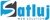 Satluj Web Solution-logo