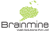 Brainmine web solutions-logo