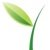 Green Vine Marketing-logo
