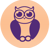 Smart Owl Info Systems-logo