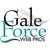 Gale Force Web Pros-logo