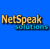 Netspeak Solutions-logo