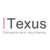 Texus-logo