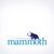 Mammoth Agency Agency Profile Image