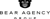 Bear Agency Group-logo