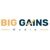 Big Gains Media - Marketing Recovery-logo